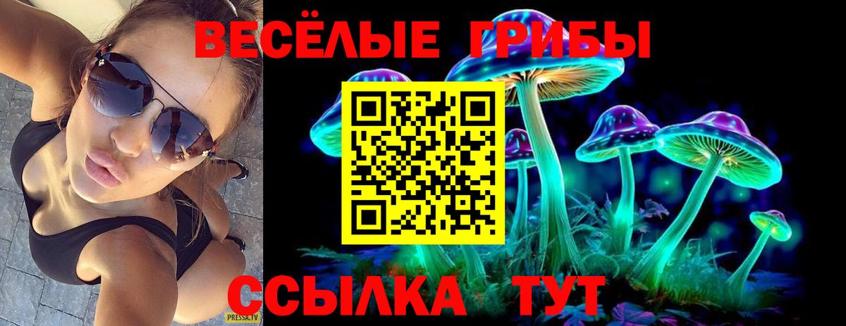 Псилоцибиновые грибы ЛСД  Галлюциногенные грибы Psilocybine cubensis  Еманжелинск  Вход с VPN 