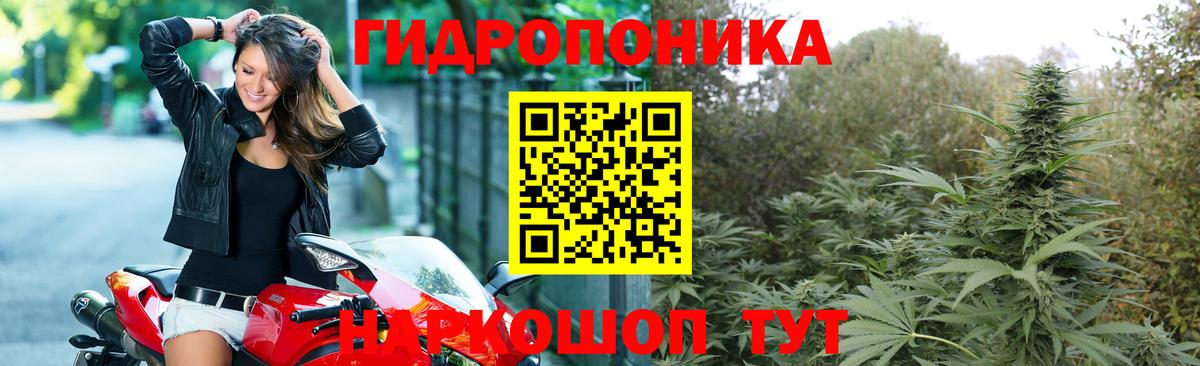 Бошки марихуана AK-47  Марихуана Ganja  Еманжелинск  МАРИХУАНА Amnesia  Бошки Шишки марихуана  Вход с VPN 
